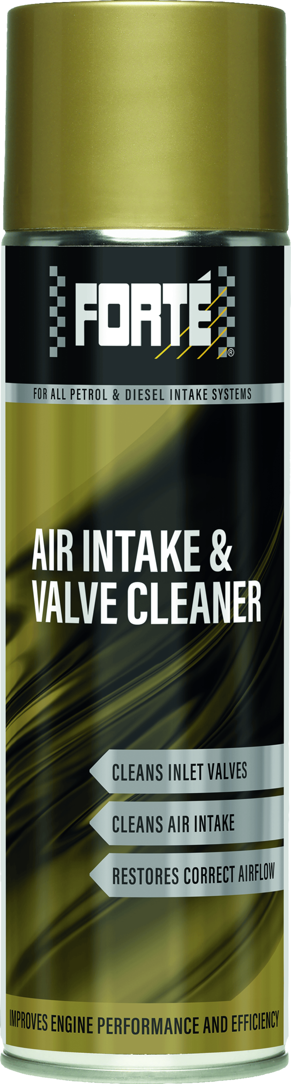 Air Intake and Valve Cleaner