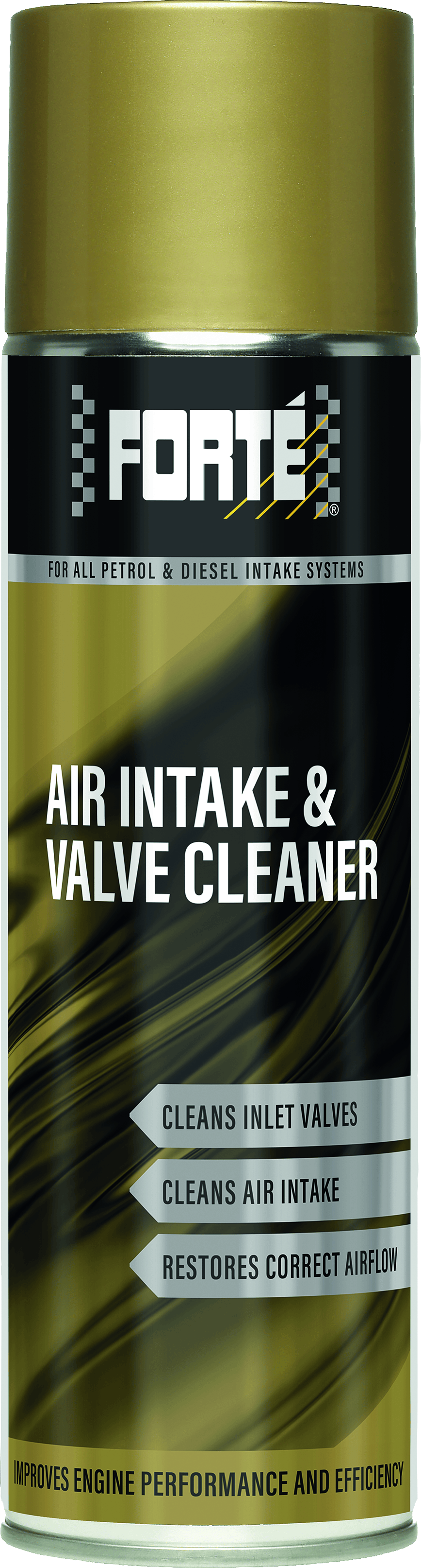 Air Intake & Valve Cleaner Forté